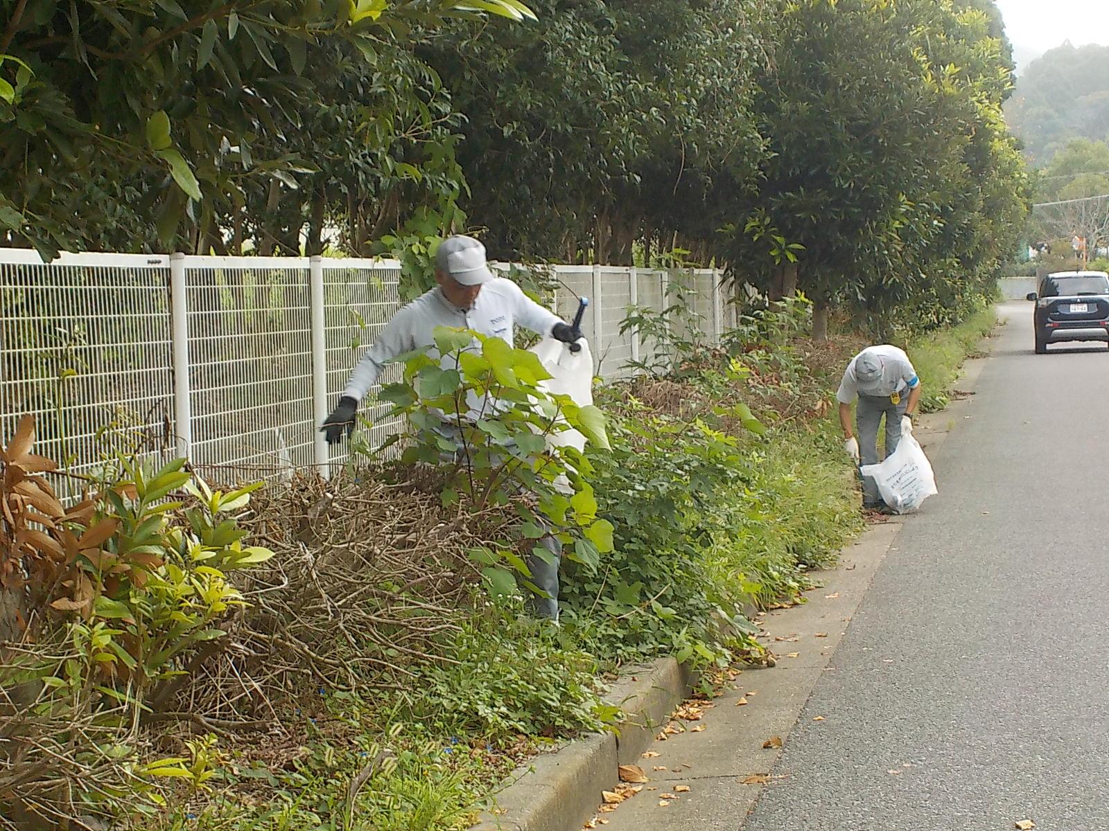 九十九里海岸清掃